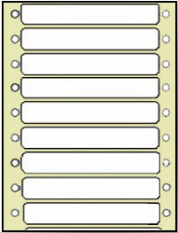 Case of 10,000 Labels