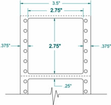 Exact Dimensions