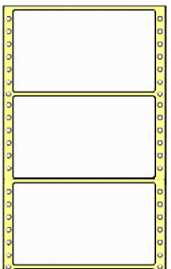 Compulabel® 111701, 5 x 2-15/16 Continuous, Pinfeed Shipping Labels, Same size as Avery® 04076, Uline® S-2347, Case of 2.5 M Labels