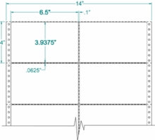 Compulabel® 120701 Two Across Pin Feed Dot Matrix or Impact Printer Labels 6-1/2 x 3-15/16  (6-1/2 x 4 )